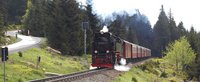 Die Brockenbahn fährt in einem Tal umgeben von Bäumen