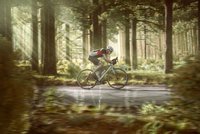 Rennradfahrer fährt auf einem Weg durch einen Wald