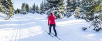 Frau ist mit Langlaufski im verschneiten Wald unterwegs