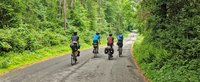 Vier Fahrradfahrer fahren durch einen Wald auf einem ebenen Weg