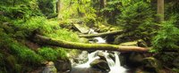 idyllischer Wasserfall inmitten eines grünen zugewachsenen Waldes
