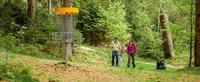 Junge wirft Disc in richtung Fangnetz