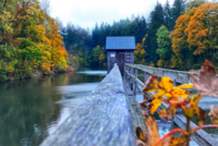 Das Striegelhaus am Carler Teich im Herbst