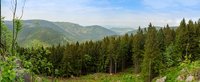 Blick über Harzer Hügel