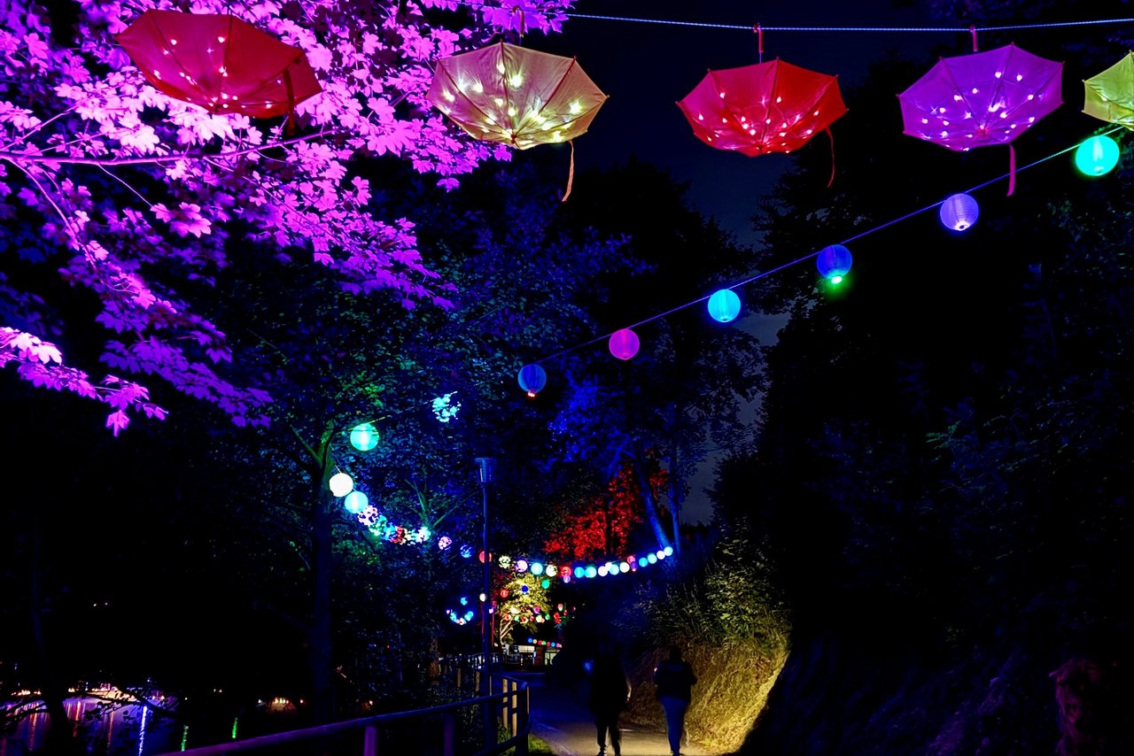 Lichterweg entlang des Okerteichs 