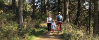 Eine Familie wandert im Wald
