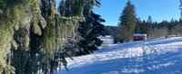 Winterliche Landschaft mit kleiner roten Hütten im Hintergrund bei sonnigem Wetter