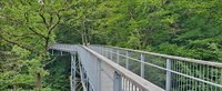 Blick auf einen Weg des Baumwipfelpfads in Bad Harzburg