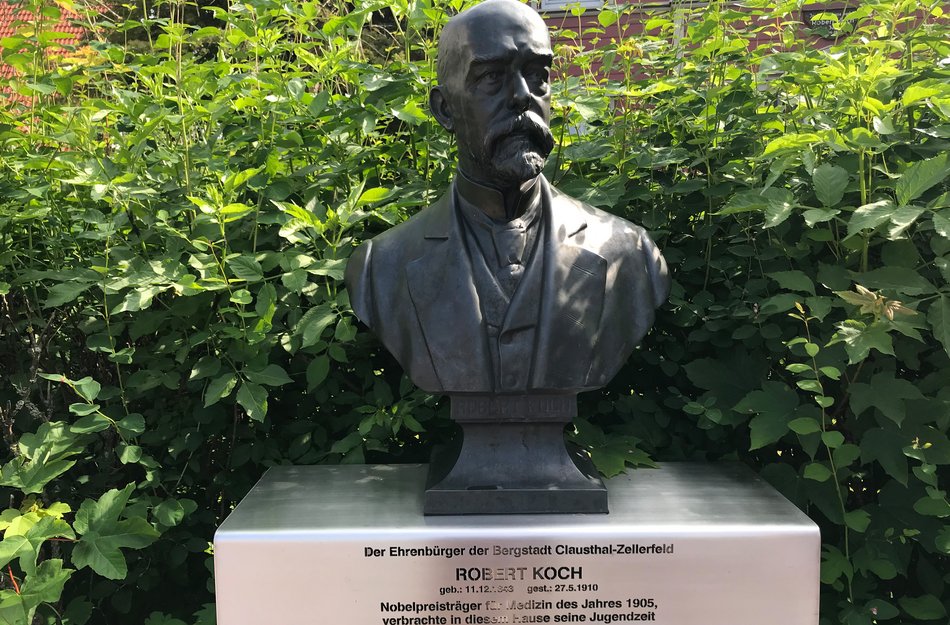 Robert Koch Büste Oberharz