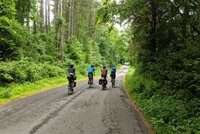 4 Radfahrer fotografiert von hinten wie sie einen Weg durch einen Wald entlang fahren